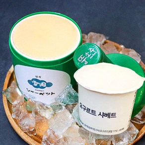 오지상구루메 설국샤베트 요구르트 240ml x 10ea 디저트 아이스크림, 10개