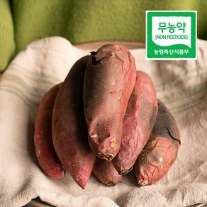 나성주꿀고구마 영암 세척 햇고구마, 1박스, 3kg(특대)