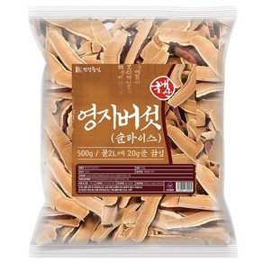 건강중심 국산 영지버섯 슬라이스, 1개, 500g