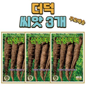 더덕씨앗 3개 더덕 씨 종자