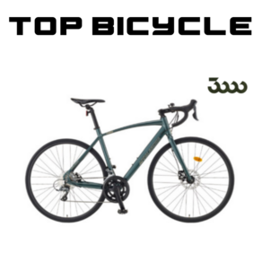 [삼천리자전거] 700C 아팔란치아 R16D 16단 로드 자전거 2023, 로얄 실버, 510, 1개