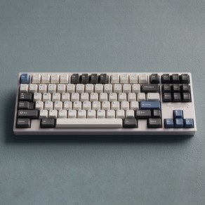 스웨그키 SW Actic 기계식 키보드 키캡 커스텀 PBT ABS 체리프로파일 자체제작