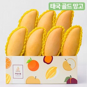 [프루미츠] 프리미엄 고당도 태국 골드망고, 1kg 내외(2~4입), 1개