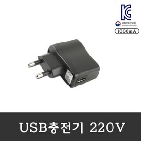 효도 라디오 충전기 어댑터 220V 어뎁터, 1개, 블랙