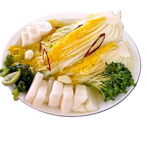 퐁실콩 푸드 백김치 동치미, 1박스, 5kg