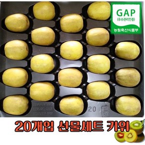 레드키위 선물세트, 1박스, 2.1kg(개당 105g 내외)