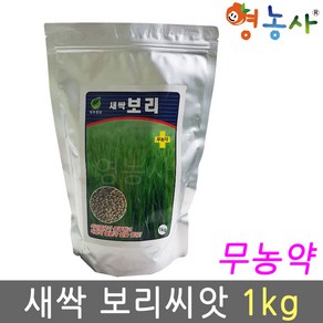 성우 새싹보리 씨앗 1kg 무농약 영농사, 1개