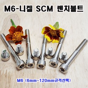 (샤인몰) SCM 435 니켈 렌치볼트 M6 (6~120mm규격선택) 무료배송/소량 낱개/대량판매, 70mm, 1개