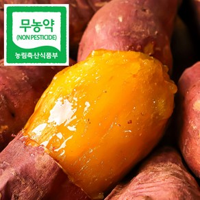 제철에 진심 해남 호박고구마 호풍미, 1박스, 대(300g 이상) 3kg