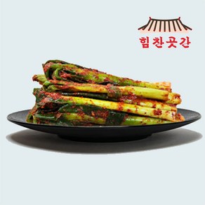 힘찬곳간 아삭한 대파김치 10kg 대용량