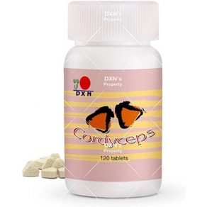 DXN Codyceps 120 Tablet 1 Bottle, 1개, 120정