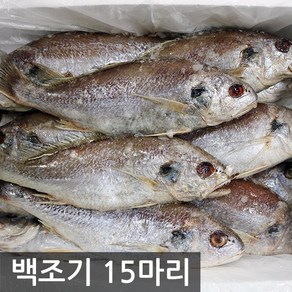 여수고기 국내산 백조기, 백조기 15마리, 1개