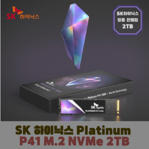 [정품] SK하이닉스 Platinum P41 M.2 NVMe SSD 2TB, P41 2TB