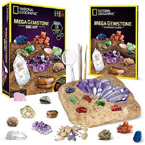 NATIONAL GEOGRAPHIC 탄생석 발굴 키트 - 12개의 정품 탄생석이 포함된 STEM 과학 실제 다이아몬드 루비 사파이어 진주 등이 포함되어 있으며 멋진 보석 여아용, 원석, 1개