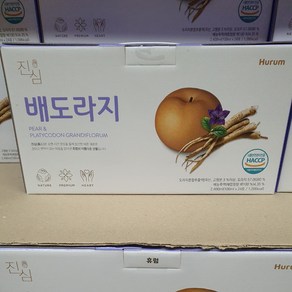 휴럼 진심 배도라지즙 100ml X 24포, 1개, 2.4L