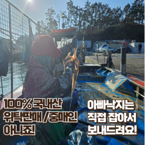 낙지 싱싱한 살아있는 목포낙지 산낙지 산소포장 신선도UP 사이즈별로 골라서 먹자, 중대낙지170g내외, 3개