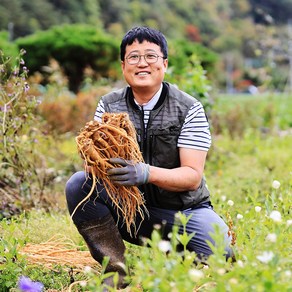 햇 약도라지 강원도 홍천 3년근 이상 재배한 생 도라지 1kg 산지직송, 1박스, 약도라지 (상) 1kg