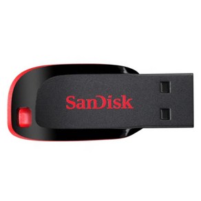 샌디스크 USB 2.0 메모리 CZ50