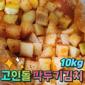 고인돌 국내산 짠지네깍두기 10kg, 1개