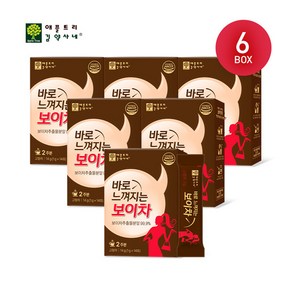 악마다이어트 바로 느껴지는 보이차, 1g, 14개입, 6개