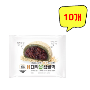 삼립 빚은앳홈 대박쑥찹쌀떡, 10개, 95g