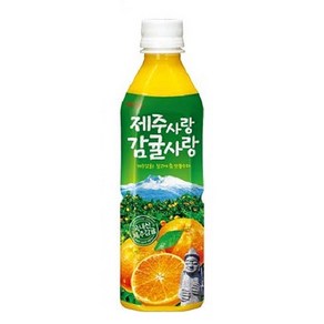 칠성 제주감귤펫 500ml x 24개