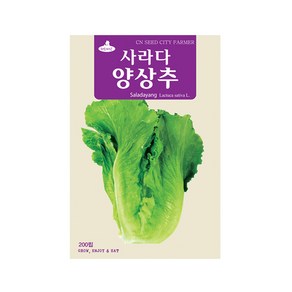 (CN) 사라다양상추 씨앗 (200립), 1개