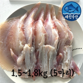세진수산 국내산 손질 간재미 (무침 횟감), 1개, 1.5~1.8kg (5마리)