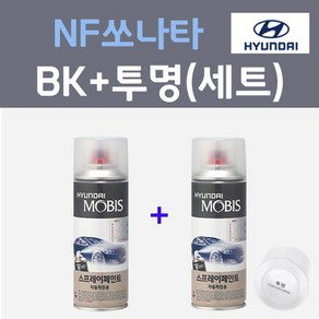 현대 NF쏘나타 BK 아이언실버 컬러스프레이 + 모투명마감용스프레이 자동차 카 페인트 200ml