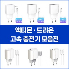 전용- -사업자 엑티몬 드리온 충전기 / 가정용 고속, 1개, D21. 드리온 가정용 2.1A (USB포트)(케이블