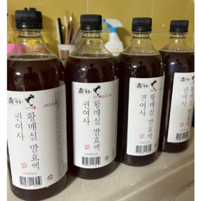 홍매실청 황매실청 3년 숙성 황매실원액 액기스 임산부 임신 매실 국산매실액, 1개, 1L