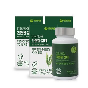 힐링 간편한 감태, 72g, 3개