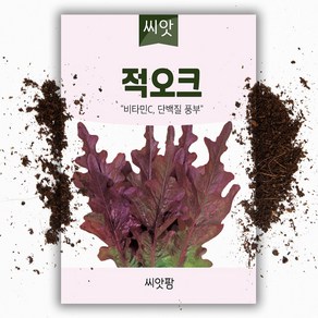 적오크 상추 씨앗(1000립) 쌈채소씨앗/상추씨앗, 1개