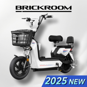 BRICKROOM 3세대 전기 자전거 자토바이 출퇴근 전동 스쿠터 2인용 바이크, 리튬20A, 레드