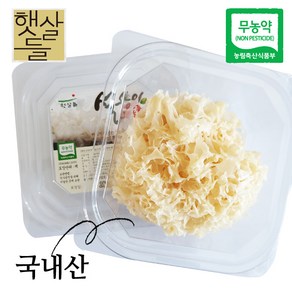 햇살들 귀하게 담은 국내산 흰목이버섯(은이버섯) 건조, 1개, 20~25g