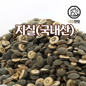 대흥한방 지실 300g 국내산, 1개