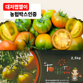 [백화점 납품] 대저 짭짤이 토마토 로얄과, 1박스, 2.5kg (로얄과)
