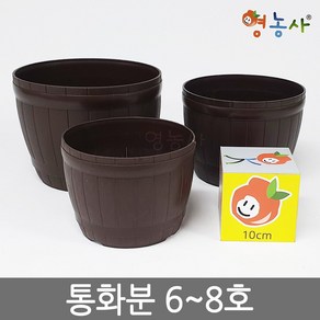 통화분 인테리어 플분 홈가드닝, 1개