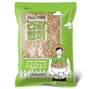 국산 현미찹쌀 5kg 찰현미, 1개