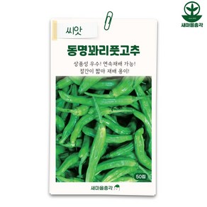 다농 풋고추 씨앗 50립 꽈리 연속재배가능 종자, 1개