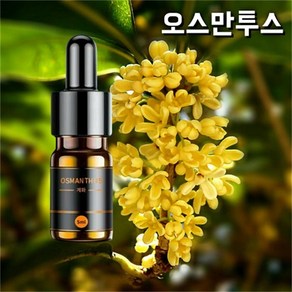 에이스티- 차량용 고급 태양열 방향제 자동차 향수 리필 오일5ml 필터, 1개, 오스만투스 향/계화(리필 오일5ml)