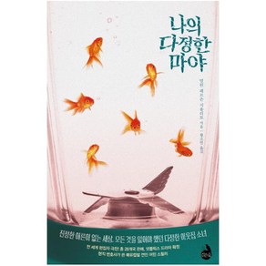 나의 다정한 마야, 검은숲, 멀린 페르손 지올리토 (지은이), 황소연 (옮긴이)