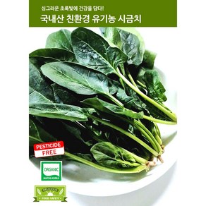 [바오농장] 친환경 유기농시금치(특) 500g 1kg GAP인증 국내산 시금치 유기농