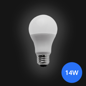 e26 소켓 LED 전구 14W 주광색(흰색빛 6500K), 2개, 주광색