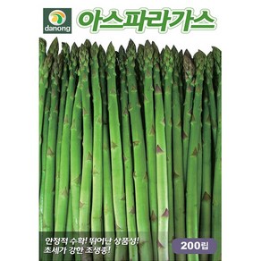 다농 아스파라거스 씨앗 200립, 1개