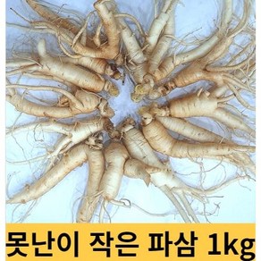 작은 인삼 못난이 1kg 40-50뿌리 파삼 믹서용 금산인삼파삼 금산인삼 수삼파삼가정용