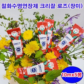 (샤인몰) 절화 수명 연장제 크리잘 로즈(장미전용) 10mlx5봉 /물 1L한포/꽃을 신선하게 오래 유지, 5개