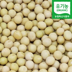 직송 국산 유기농 메주콩 대두 백태콩 노랑콩, 1kg, 1개