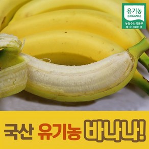 국내산 산청 유기농 바나나