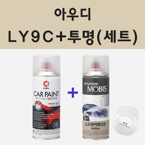 아우디 LY9C 아이비스화이트 스프레이 카 페인트 + 모비스 투명마감용스프레이 200ml